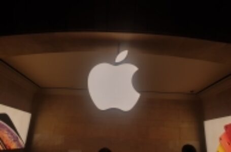 भारत में एप्पल मैक, आईपैड की बिक्री में उछाल: रिपोर्ट