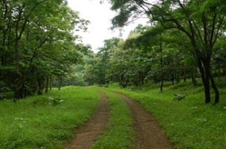गोरखपुर में जल्द ही मिलेगा ‘आरोग्य वन’