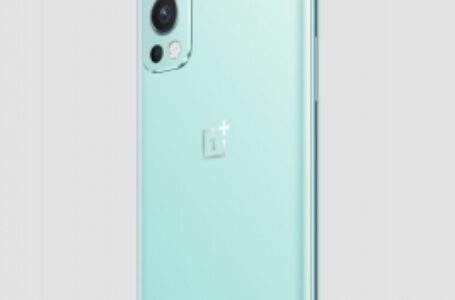 वनप्लस नोर्ड 2 5जी में स्टाइलिश डिजाइन के साथ मिलेगा दमदार फीचर, जानें क्या है कीमत?