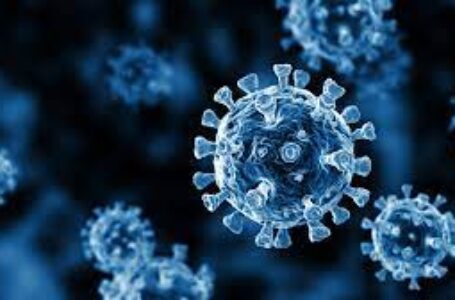 दुनियाभर में कोरोनावायरस के मामले 25 करोड़ से ज्यादा हुए