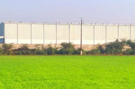 मथुरा से अब सब्जी, फल और मसालों का अमेरिका में होगा निर्यात