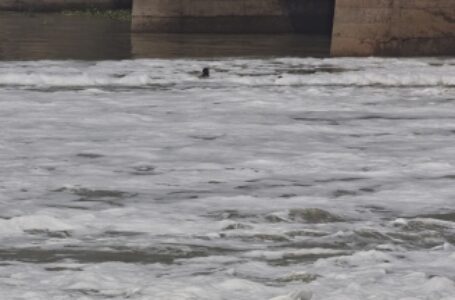 प्रदूषित नदियों की संख्या 302 से बढ़कर 351 हो गईं: केन्द्र सरकार