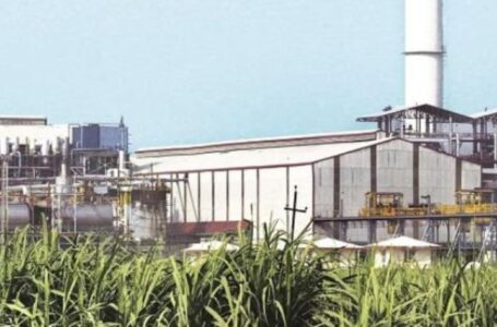 उप्रः सल्फरलेस चीनी उत्पादन के साथ प्रति घंटा 27 मेगावट बिजली का उत्पादन