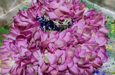 बिहार: पाबंदी हटी तो श्रद्धालु भी पहुंचे भगवान के ‘द्वार’, मंदिरों में लौटी रौनक