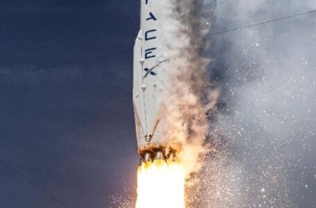 मस्क के स्पेसएक्स ने सैटेलाइट स्टार्टअप स्वार्म टेक्नोलॉजीज का किया अधिग्रहण