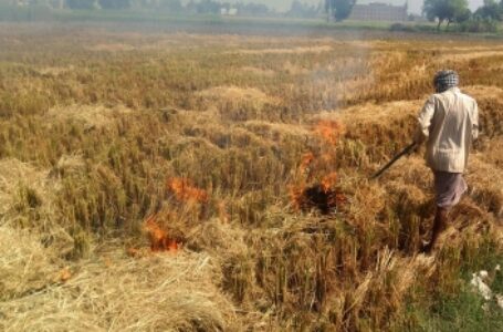 योगी सरकार ने किसानों के खिलाफ 868 पराली जलाने के मामले वापस लिए