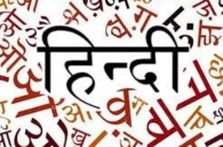 28 देश के 500 से अधिक हिंदी कवियों ने बनाया विश्व रिकार्ड
