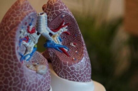 दिवाली के बाद, दिल्ली के अस्पताल में सांस की समस्या के 10 फीसदी ज्यादा मरीज पहुंचे