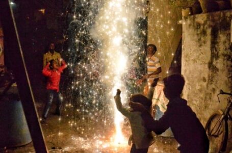 प्रदूषण : दिवाली की रात दिल्ली-एनसीआर में पीएम 2.5 का स्तर 800-1,700 तक पहुंचा