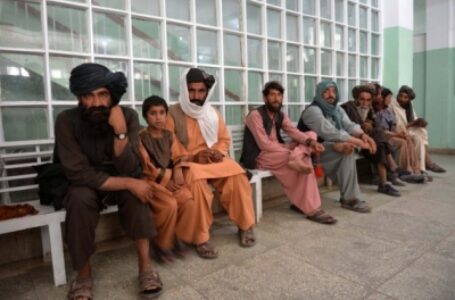 अफगान शरणार्थी मंच ने 222 अफगान नागरिकों के लिए भारत से ई-वीजा मांगा
