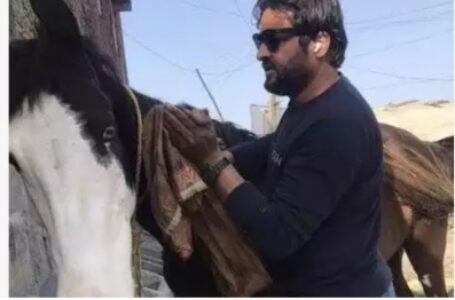यूपी : रामपुर पुलिस ने लापता घोड़ी का पता लगाकर मालिक को सौंपा