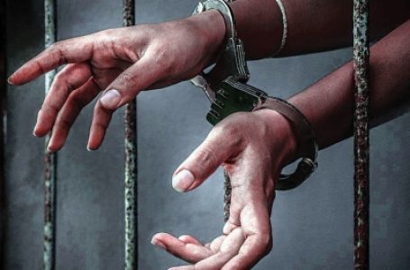 शराबबंदी से जुड़े नियमों का उल्लंघन करने के आरोप में 12 गिरफ्तार
