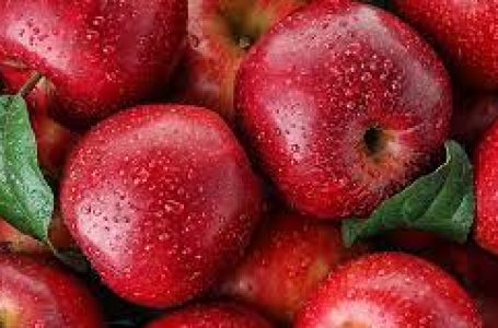 ईरानी सेब का आयात कश्मीर सेब उद्योग के लिए तबाही का संकेत