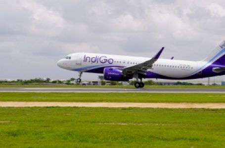 इंडिगो ने 2 साल बाद थाईलैंड के लिए उड़ानें शुरू कीं