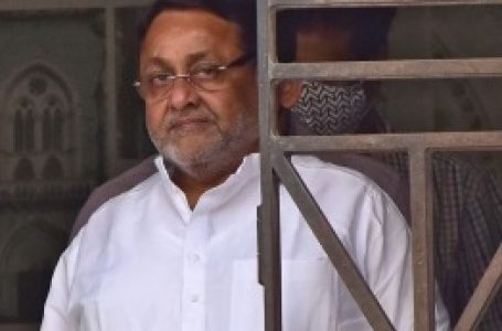 महाराष्ट्र के मंत्री नवाब मलिक को विभागों से मुक्त किया गया : राकांपा