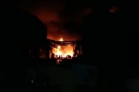 आंध्र में रासायनिक संयंत्र में आग लगने से छह की मौत