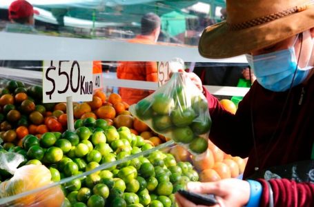 न्यूजीलैंड में 10 वर्षो में सबसे अधिक वार्षिक खाद्य मूल्य वृद्धि देखी गई