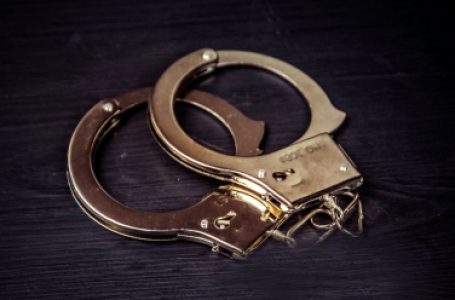 73.5 लाख रुपये के सोने की तस्करी के आरोप में आईजीआई हवाईअड्डे पर फ्रांसीसी महिला गिरफ्तार