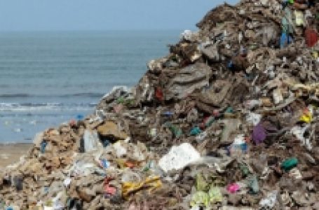 तमिलनाडु: रानीपेट ने बनाया विश्व रिकॉर्ड, 3 घंटे में इकट्ठा किया 186 मीट्रिक टन प्लास्टिक कचरा