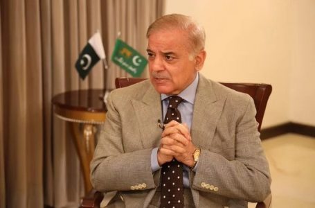 भारत के साथ शांतिपूर्ण संबंध चाहता है पाकिस्तान : शहबाज शरीफ
