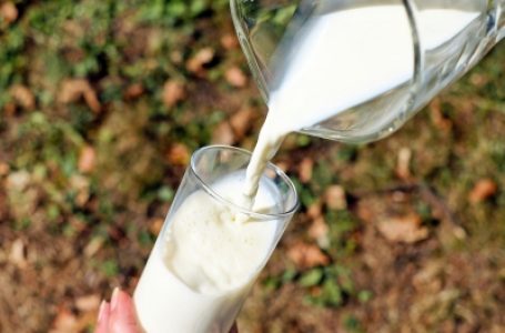 मप्र में डेयरी फेडरेशन एक दिन में खरीदता है 9 लाख लीटर दूध!