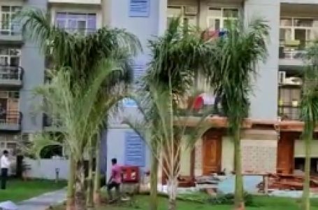 श्रीकांत त्यागी के घर के बाहर फिर लगने लगे उखाड़े गए पेड़, वीडियो बना कर सोसाइटी के लोग कर रहे वायरल
