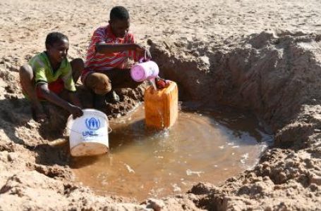 हॉर्न ऑफ अफ्रीका में 36.1 मिलियन लोगों पर मंडरा रहा अकाल का खतरा : यूएन