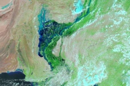 पाकिस्तान में बाढ़ का कहर : सिंध का 100 किमी हिस्सा झील में तब्दील, 3.3 करोड़ लोग प्रभावित