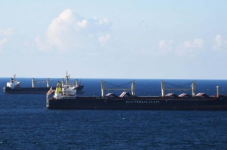 अनाज सौदे के तहत यूक्रेनी बंदरगाह जहाज ने नौ मिलियन टन खाद्य पदार्थ भेजा