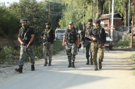 जम्मू-कश्मीर के शोपियां में 2 गैर-स्थानीय लोगों के मारे जाने के बाद आतंकवादी गिरफ्तार