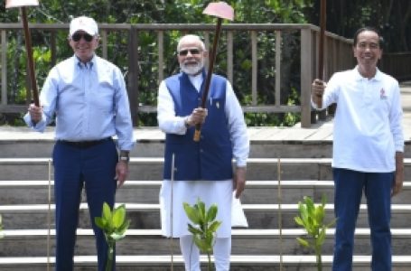 प्रधानमंत्री मोदी ने बाली में जी-20 शिखर सम्मेलन के दौरान मैंग्रोव जंगलों का दौरा किया