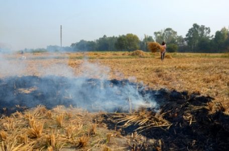 एनएचआरसी ने पंजाब में पराली जलाने पर जताई चिंता