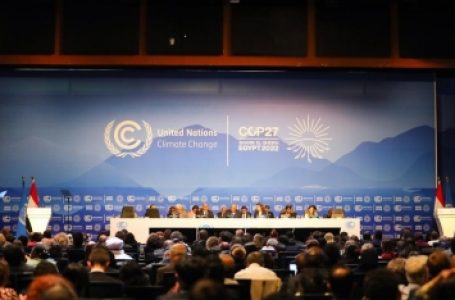 संयुक्त राष्ट्र जलवायु सम्मेलन मिस्र में शुरू