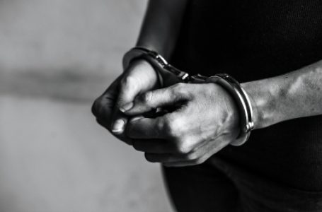 बिहार में 18 किलोग्राम चरस के साथ महिला सहित 3 तस्कर गिरफ्तार