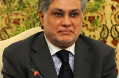 पाकिस्तान सरकार को निर्देश नहीं दे सकता आईएमएफ : वित्त मंत्री