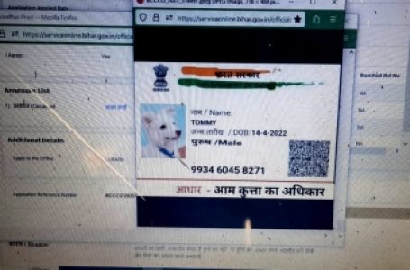 बिहार में जाति प्रमाण पत्र बनवाने के लिए कुत्ता ‘टॉमी’ ने दिया ऑनलाइन आवेदन!