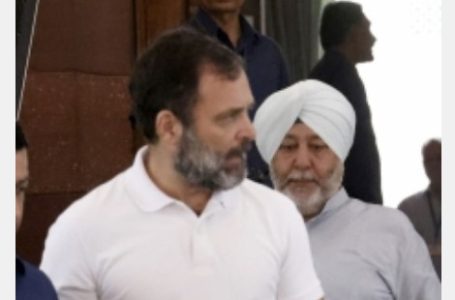 अयोग्यता पर विशेषज्ञों ने कहा- राहुल सजा पर रोक लगवाएं, लोकसभा अधिसूचना को चुनौती दें