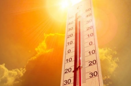 फरवरी 122 साल में सबसे गर्म रही, गर्मी और तपिश लाएगी : आईएमडी