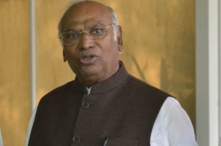 राहुल गांधी की सजा के खिलाफ अपील करेगी कांग्रेस