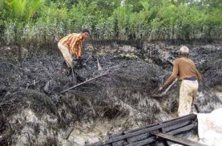 सुंदरबन में सिंगल यूज प्लास्टिक पर प्रतिबंध लगाएगा बांग्लादेश