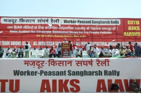 रामलीला मैदान में देशभर से आए किसान और मजदूर संगठनों की संघर्ष रैली