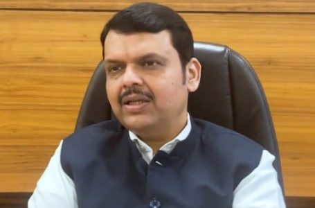 ओवैसी का फडणवीस पर पलटवार, पूछा – ”गोडसे और आप्टे की औलाद कौन हैं?