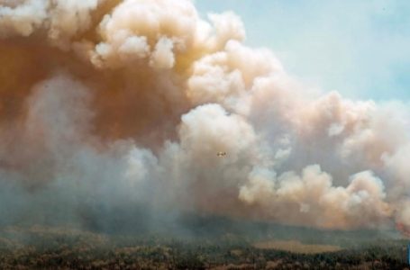 कनाडा के जंगलों में लगी आग के धुएं से अमेरिका में छाया अंधेरा