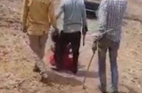 गुजरात की महिला को निर्वस्त्र करके सरेआम पीटा, चार गिरफ्तार
