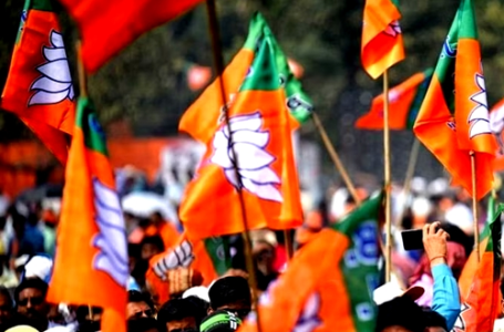 भाजपा ने राजस्थान के लिए उतारी नेताओं की फौज, कई राज्यों के मंत्री, सांसद संभालेंगे मोर्चा
