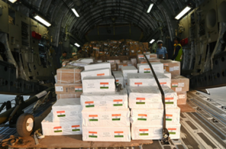 भारत ने युद्धग्रस्त फ़िलिस्तीन को भेजी मानवीय सहायता