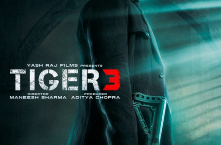 सलमान खान की ‘टाइगर 3’ में खलनायक की भूमिका में हैं इमरान हाशमी