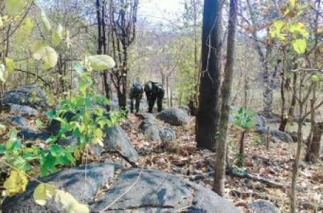 बीजापुर में मुठभेड़ में नौ नक्सली ढेर, आधुनिक हथियार बरामद