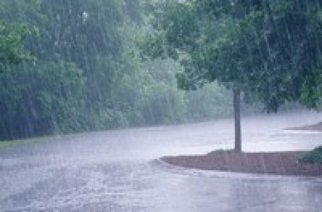 केरल: 6 जिलों में येलो अलर्ट जारी; 11 अक्टूबर तक पूरे राज्य में बारिश, आंधी-तूफान की चेतावनी