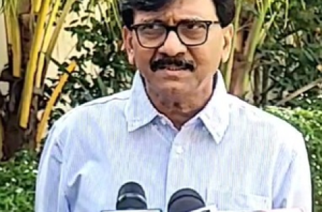 मध्यम वर्ग ने भाजपा को वोट नहीं दिया, उनको खुश करने के लिए लाया गया बजट : संजय राउत